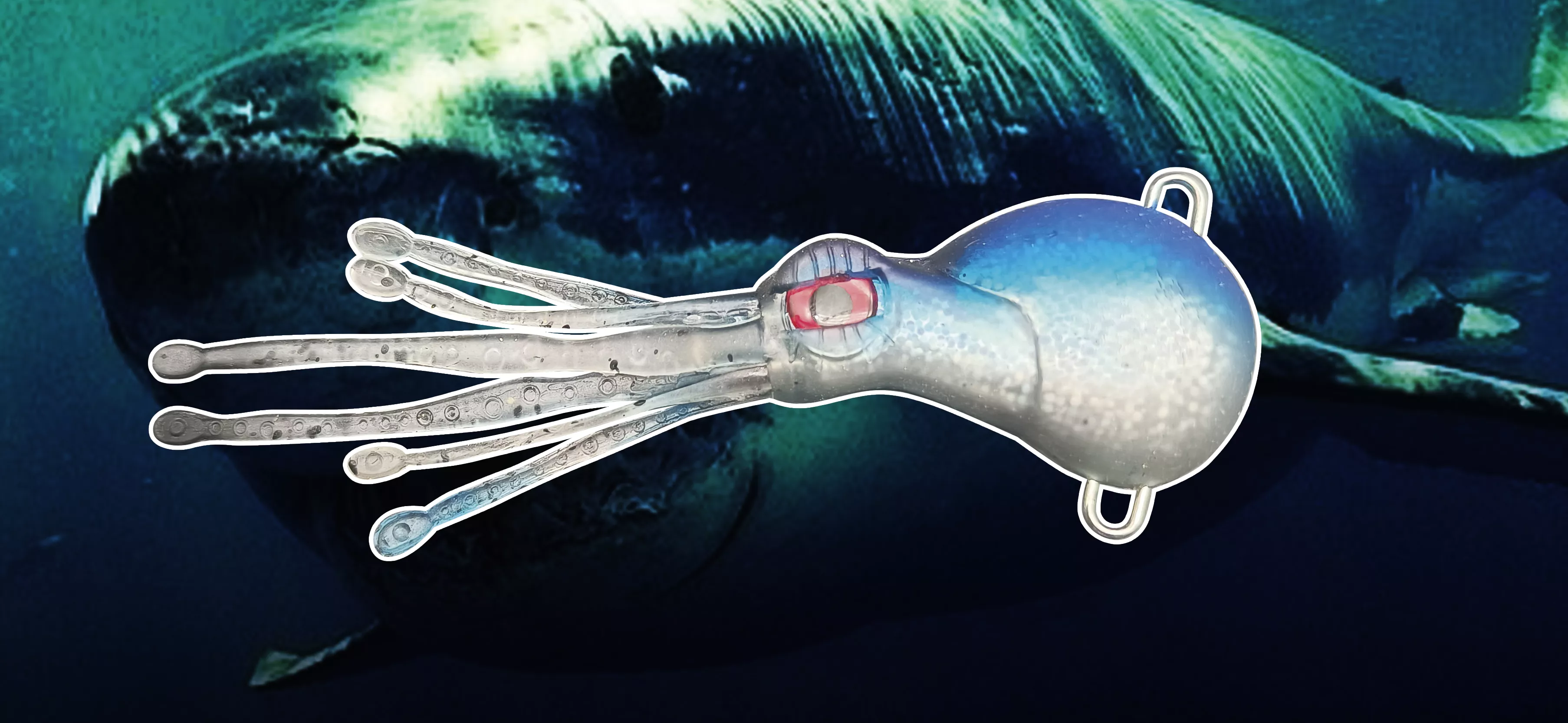 软饵SOFT LURE